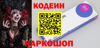 МДПВ Камышлов