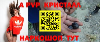 МДПВ Камышлов