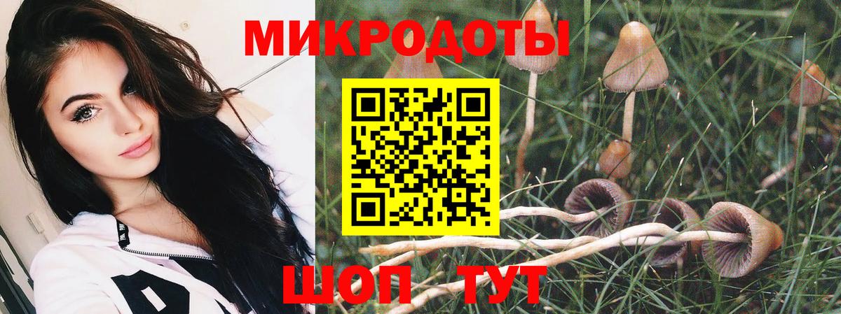 Псилоцибиновые грибы мухоморы Лангепас